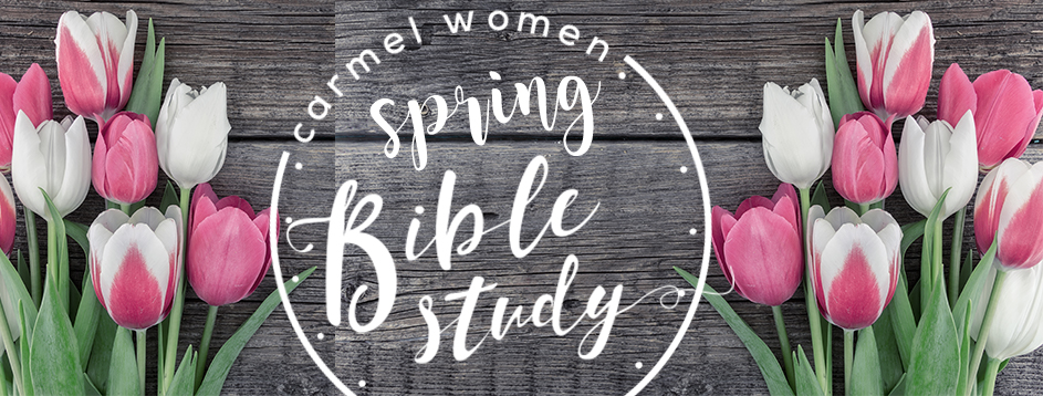 cw_spring biblestudy_rotator slide